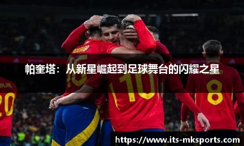mk体育官网