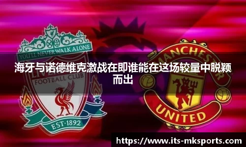 海牙与诺德维克激战在即谁能在这场较量中脱颖而出