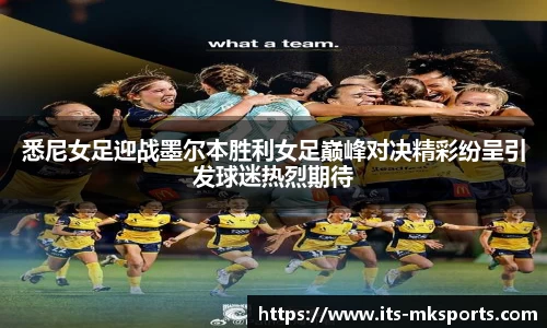 mk体育