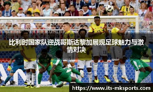 mk体育