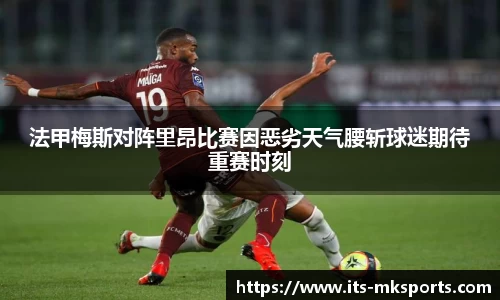 mk体育