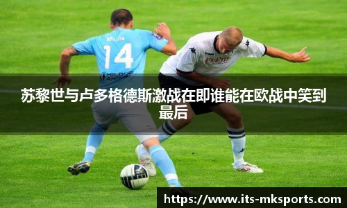mk体育